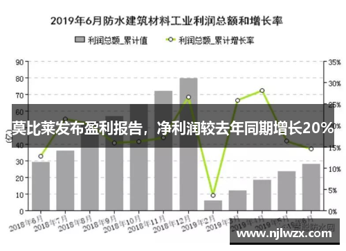 莫比莱发布盈利报告，净利润较去年同期增长20%